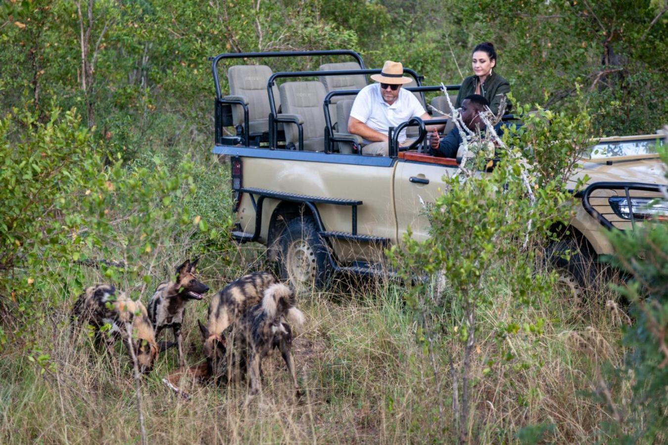 Leopard Hills Private Game Reserve سابس ساند جيم ريسير المظهر الخارجي الصورة