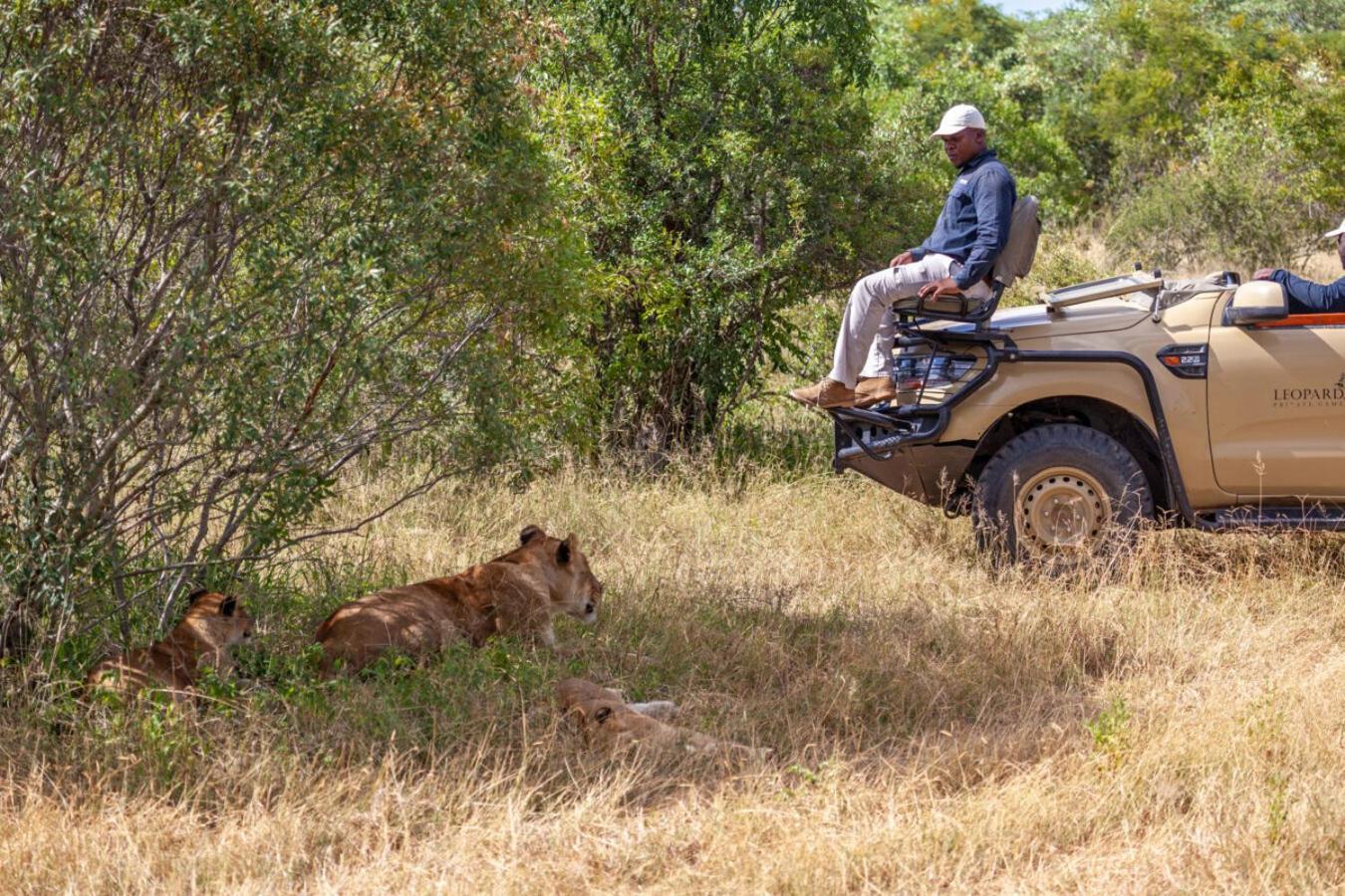 Leopard Hills Private Game Reserve سابس ساند جيم ريسير المظهر الخارجي الصورة