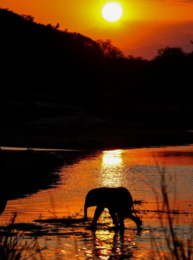 Leopard Hills Private Game Reserve سابس ساند جيم ريسير المظهر الخارجي الصورة
